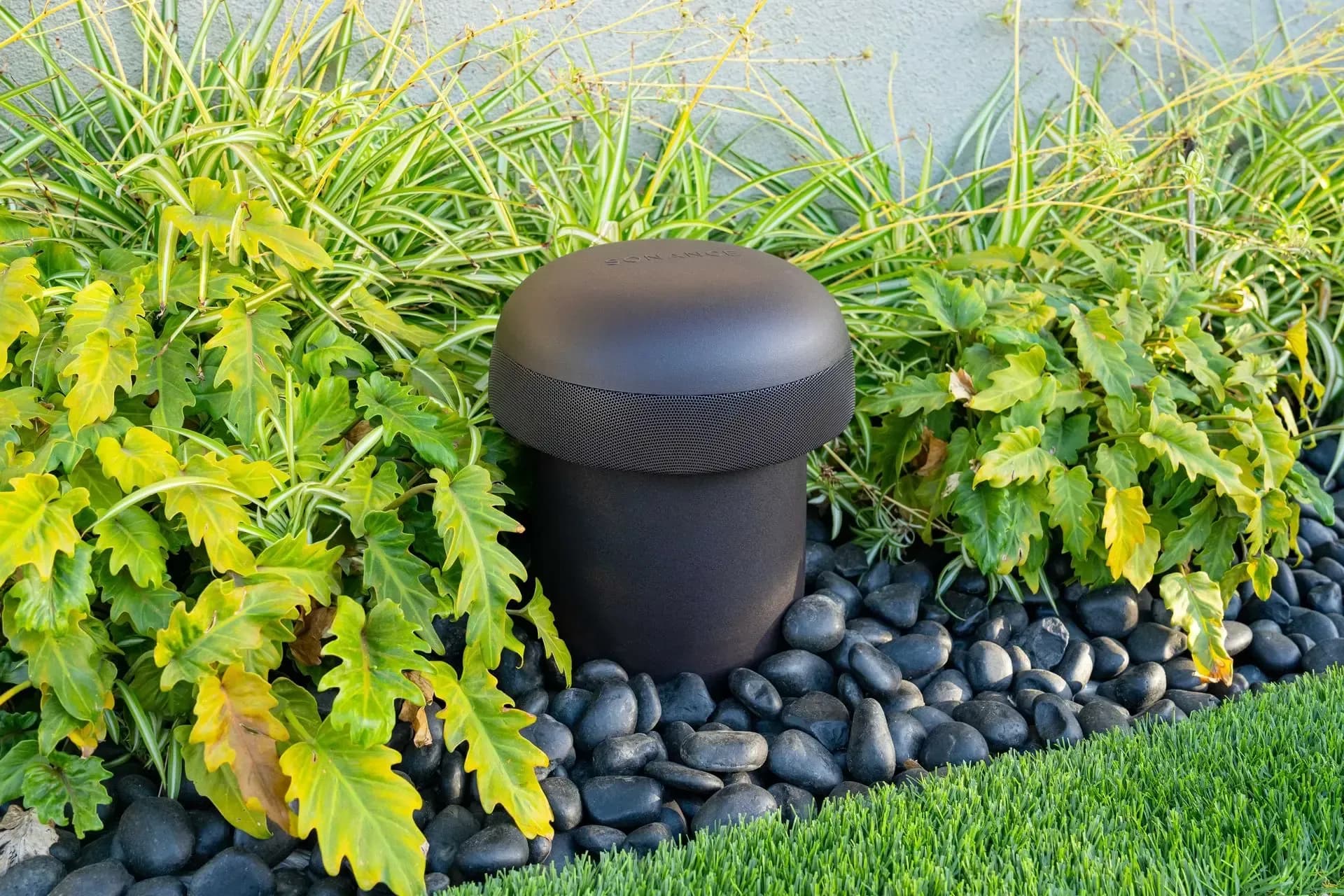 speaker